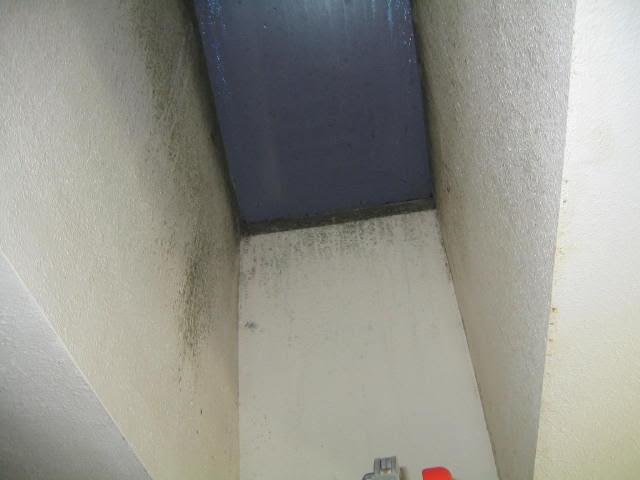 Home mold inspection